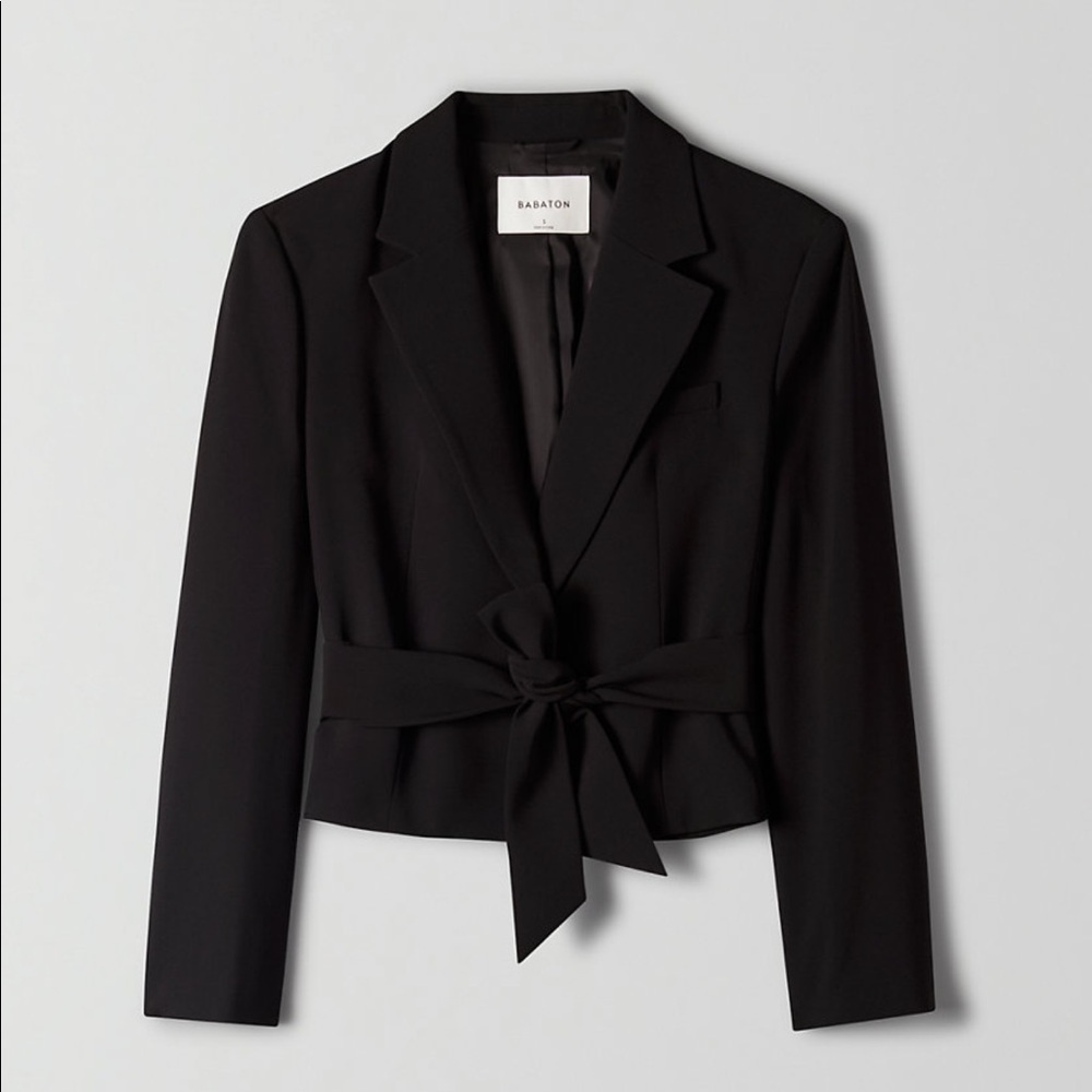Brand New Aritzia Santos Blazer XS